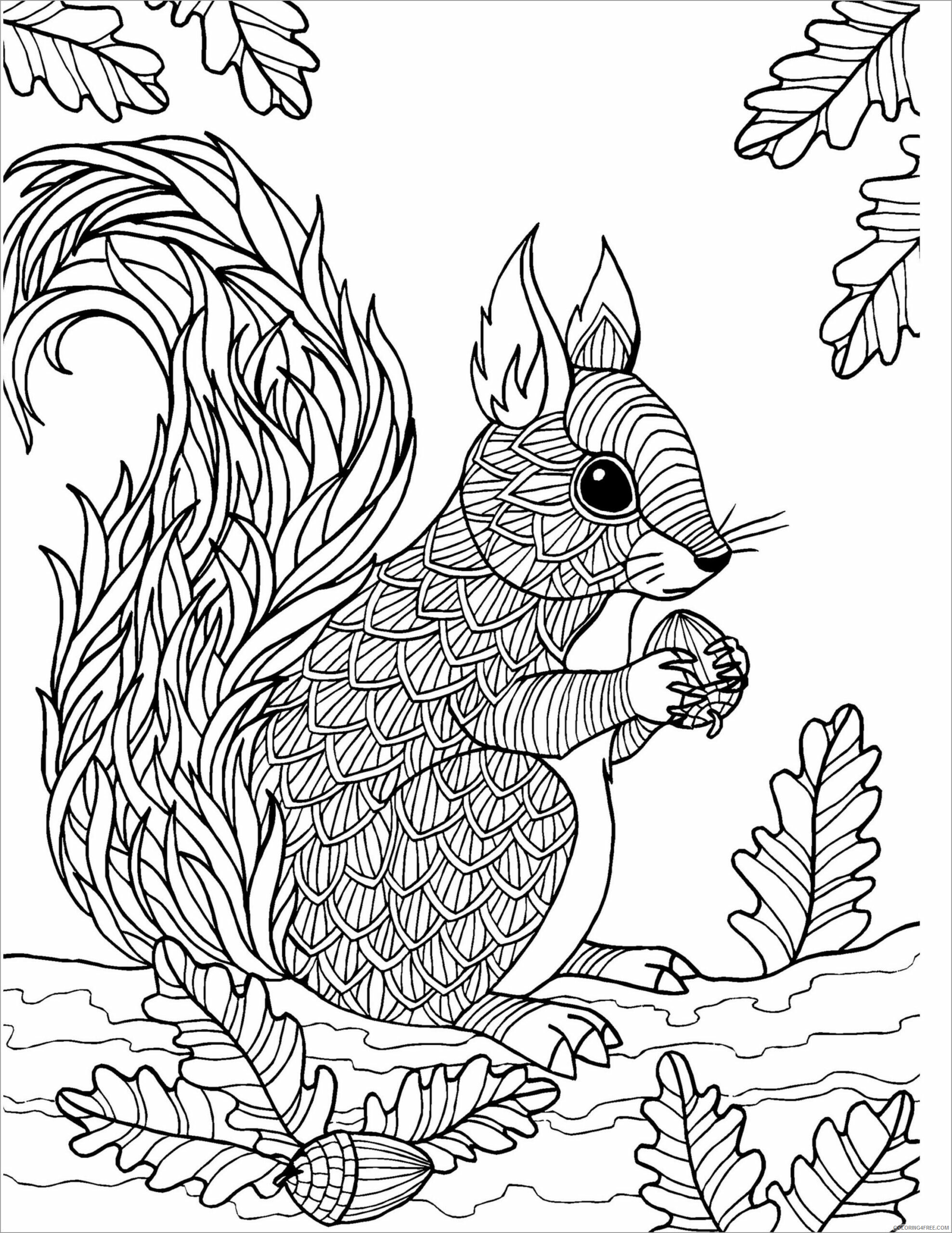 Animal Zentangle Coloring Pages zentangle squirrel for adult Printable 2020 586 Coloring4free