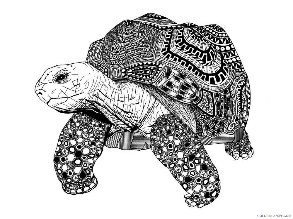 Animal Zentangle Coloring Pages zentangle turtle 1 Printable 2020 607 Coloring4free