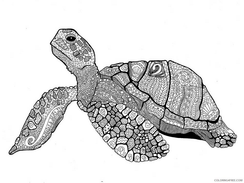 Animal Zentangle Coloring Pages zentangle turtle 11 Printable 2020 608 Coloring4free