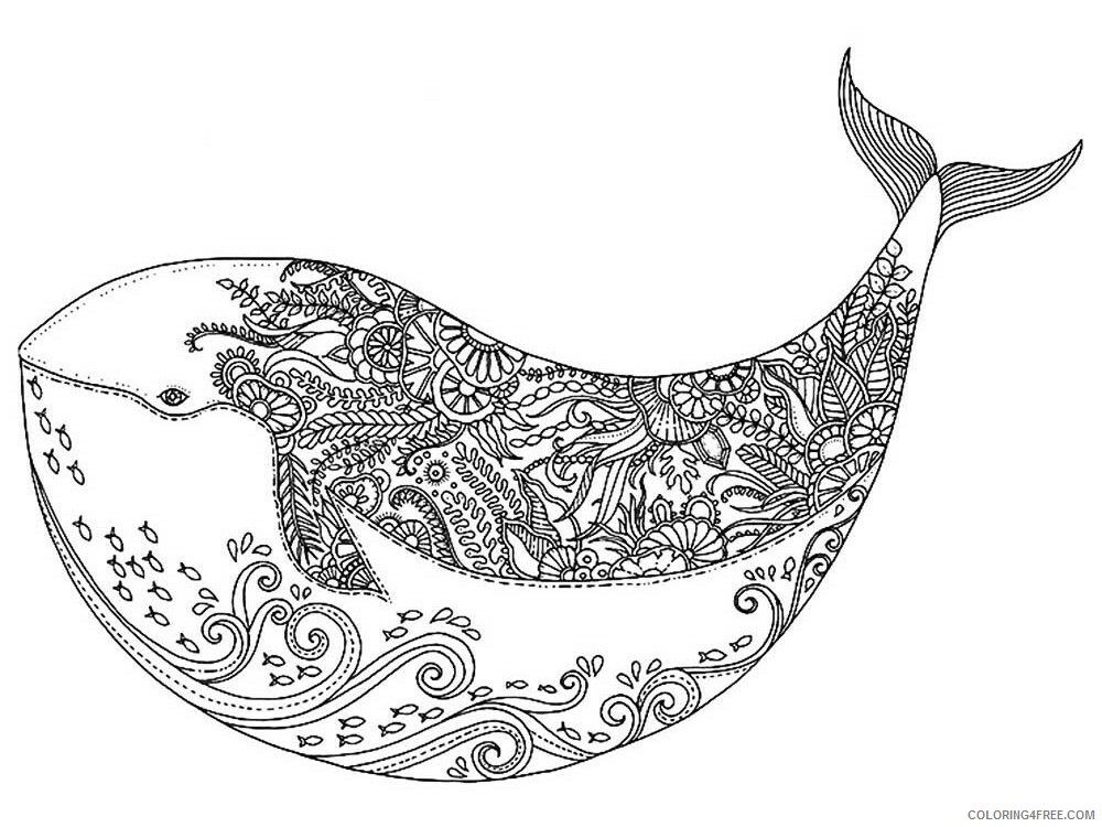 Animal Zentangle Coloring Pages zentangle whale 10 Printable 2020 619 Coloring4free