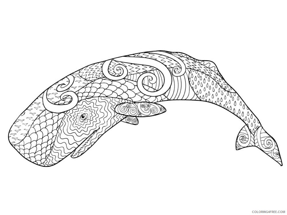Animal Zentangle Coloring Pages zentangle whale 11 Printable 2020 620 Coloring4free