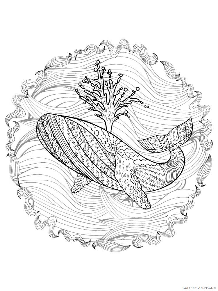 Animal Zentangle Coloring Pages zentangle whale 12 Printable 2020 621 Coloring4free