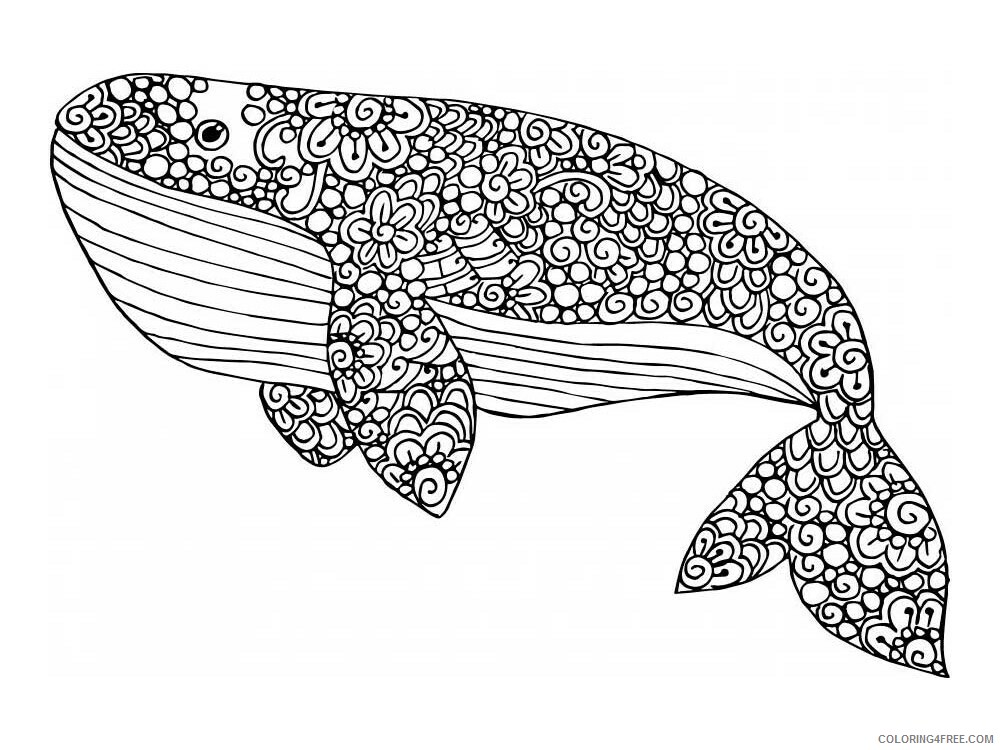 Animal Zentangle Coloring Pages zentangle whale 5 Printable 2020 625 Coloring4free