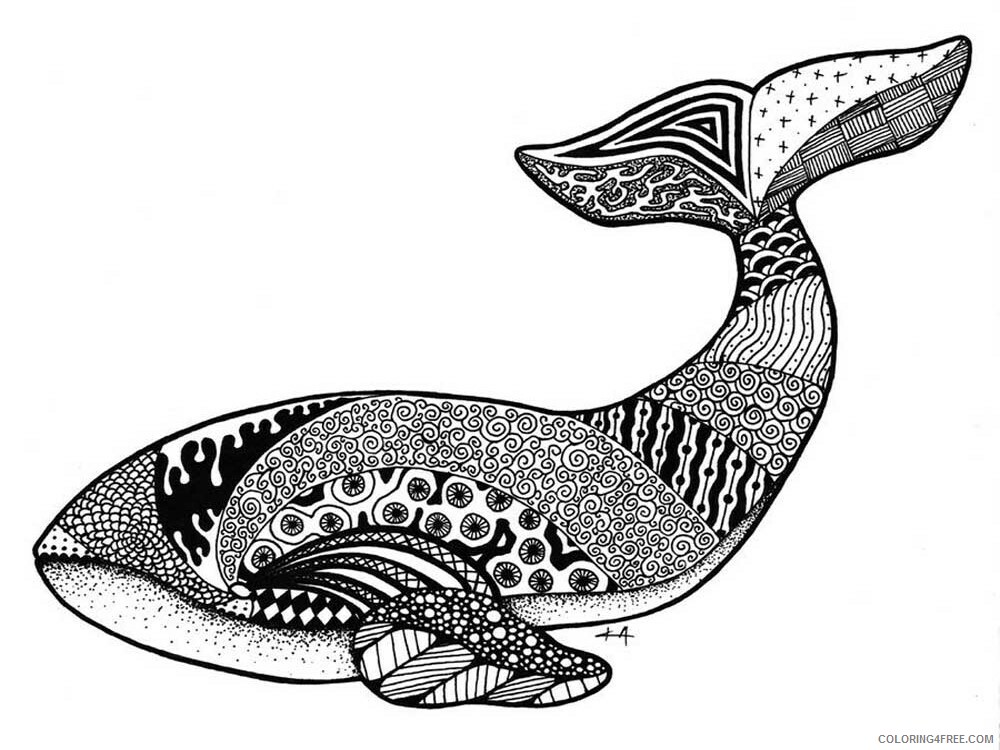 Animal Zentangle Coloring Pages zentangle whale 9 Printable 2020 627 Coloring4free