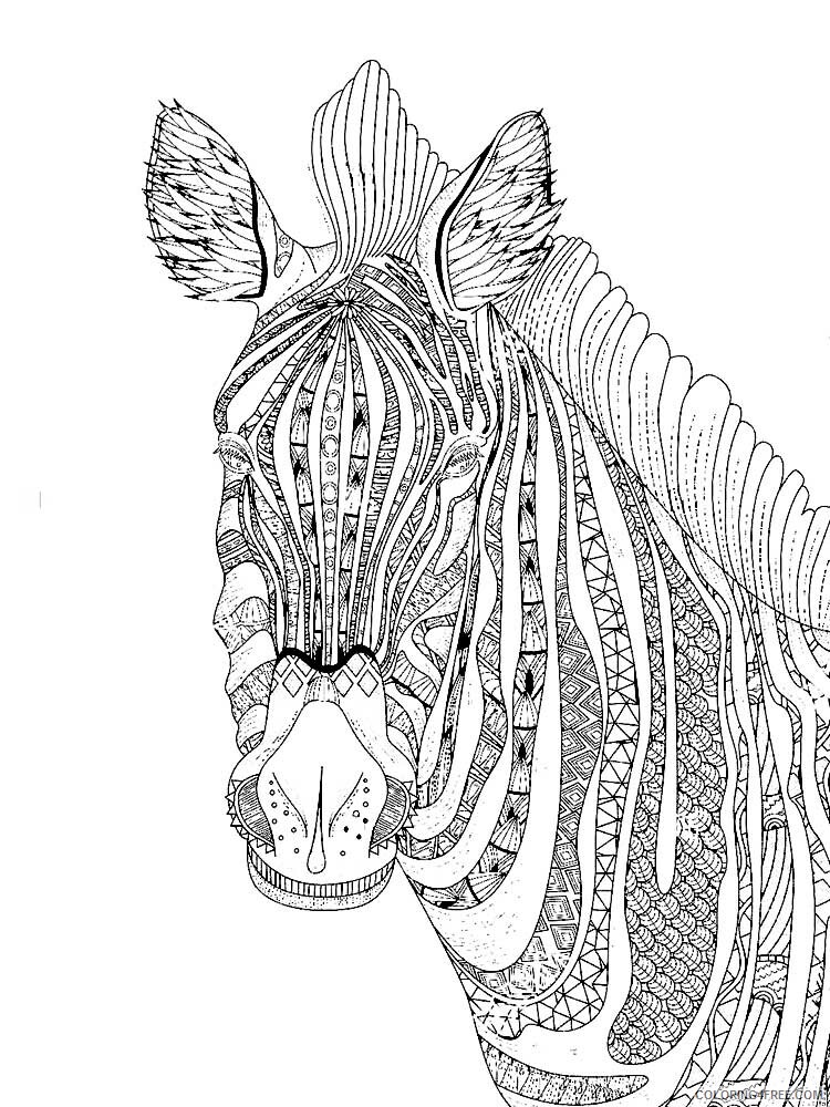 Animal Zentangle Coloring Pages zentangle zebra 1 Printable 2020 628 Coloring4free