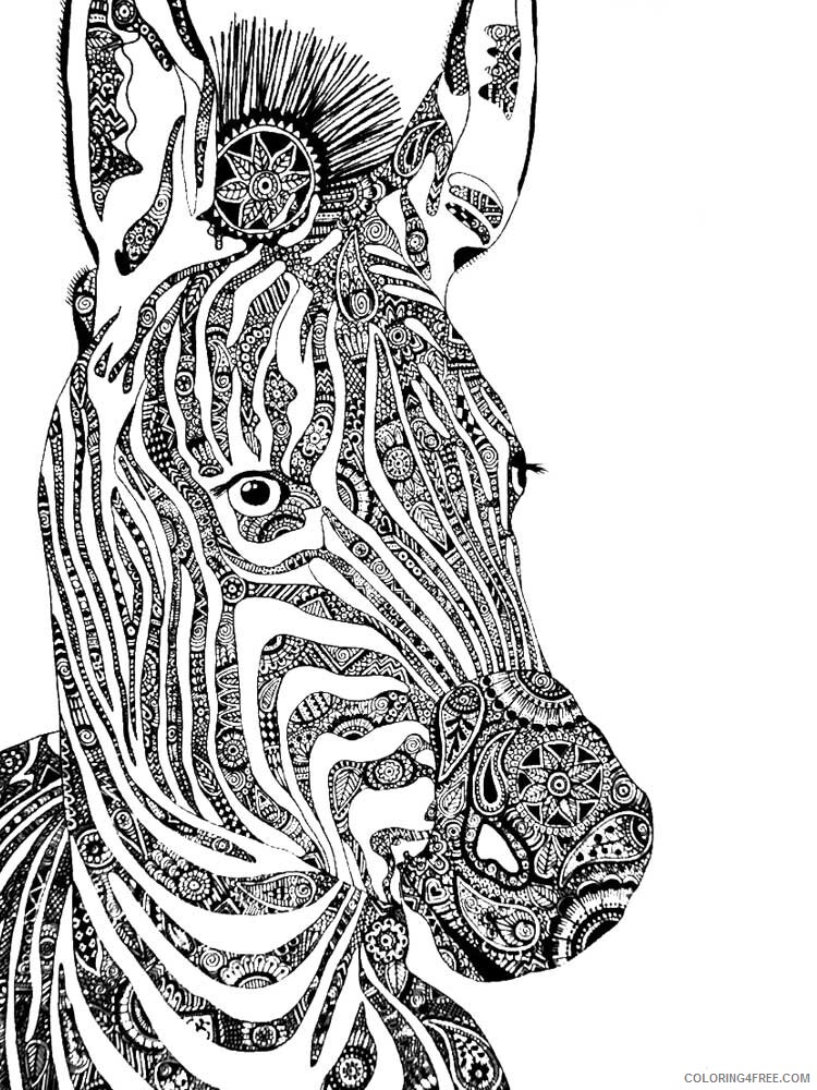 Animal Zentangle Coloring Pages zentangle zebra 2 Printable 2020 629 Coloring4free