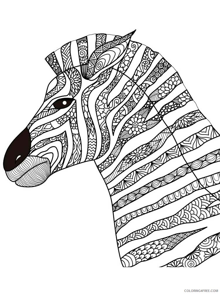 Animal Zentangle Coloring Pages zentangle zebra 7 Printable 2020 632 Coloring4free