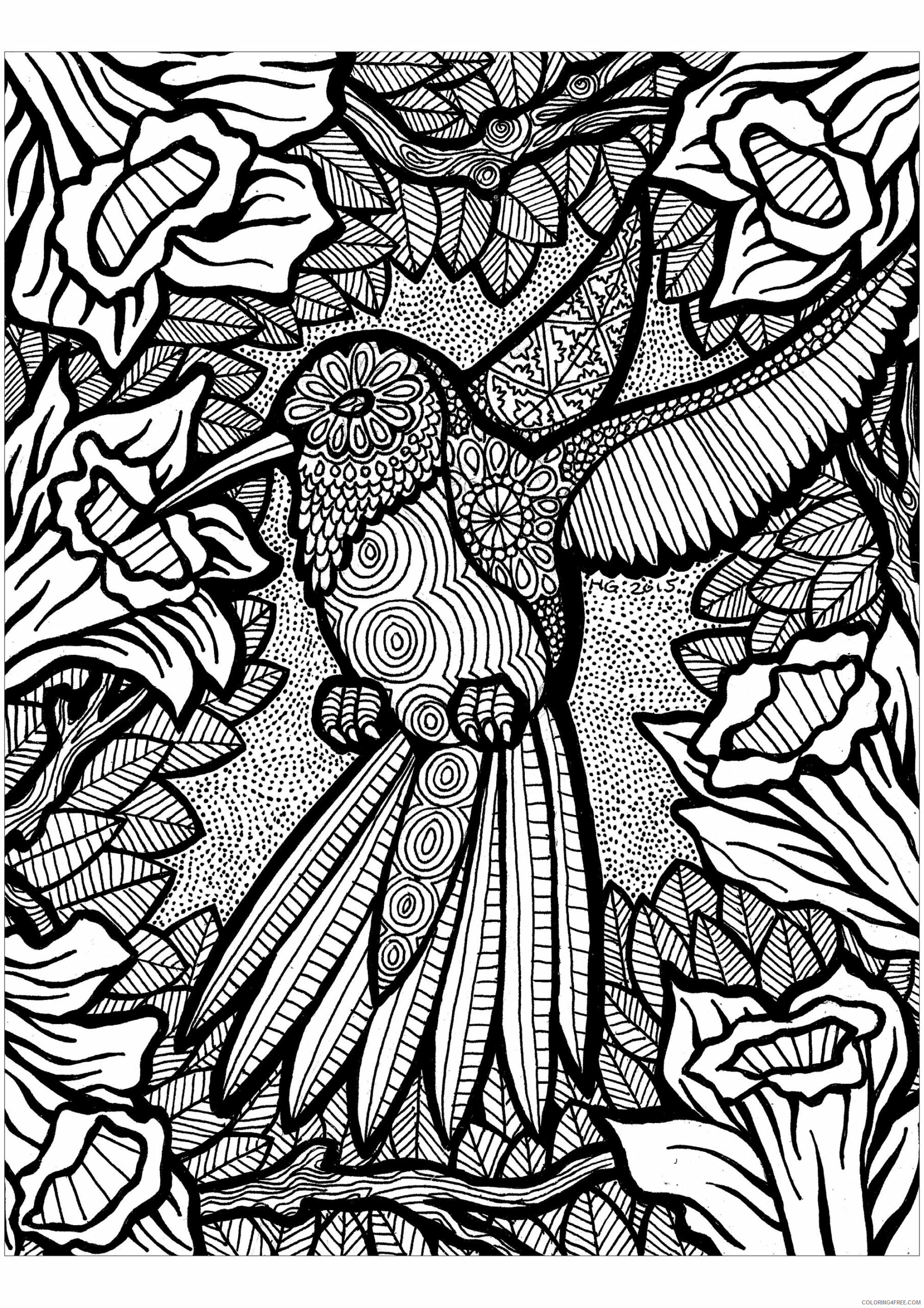 Bird Zentangle Coloring Pages Lines of the Hummingbird HGCreativeArts Printable 2020 636 Coloring4free