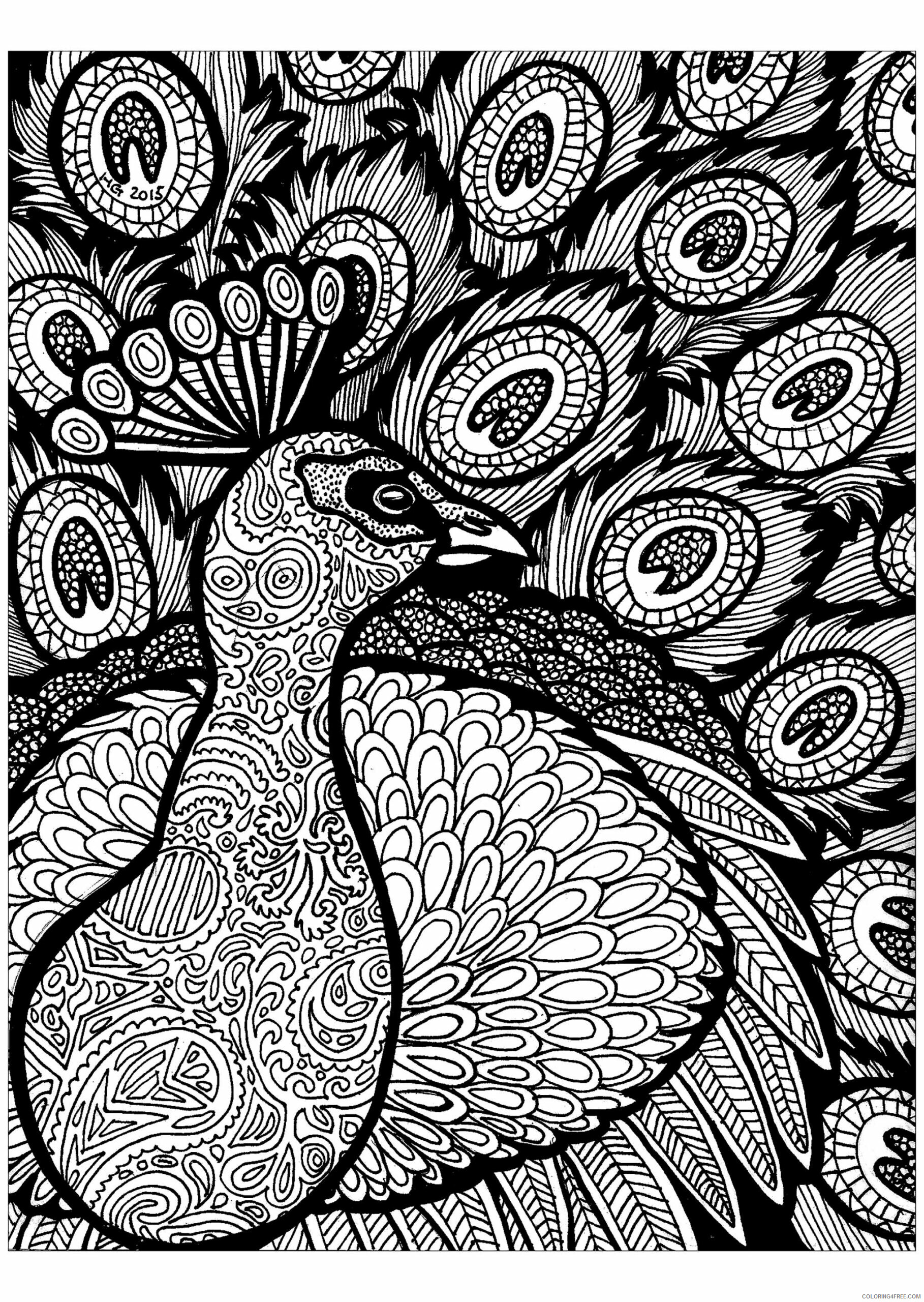 Bird Zentangle Coloring Pages Lines of the Peacock HGCreativeArts Printable 2020 638 Coloring4free