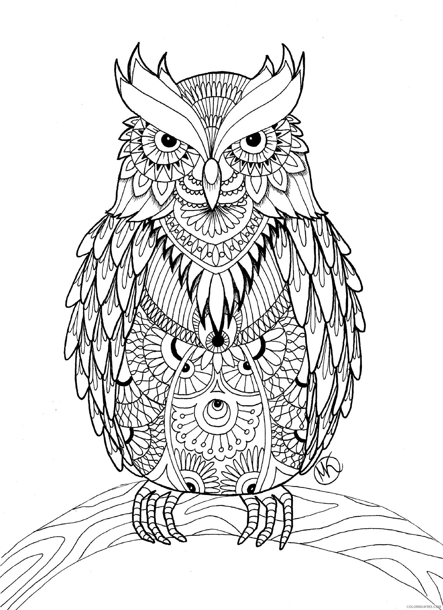 Bird Zentangle Coloring Pages Print Owl for Adults Printable 2020 646 Coloring4free