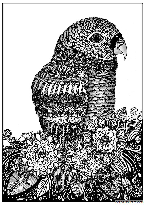 Bird Zentangle Coloring Pages adults parrot zentangle sabrina Printable 2020 641 Coloring4free