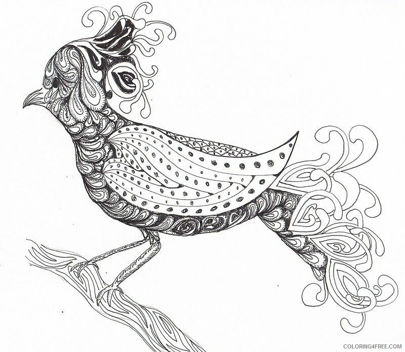Bird Zentangle Coloring Pages bird Printable 2020 633 Coloring4free
