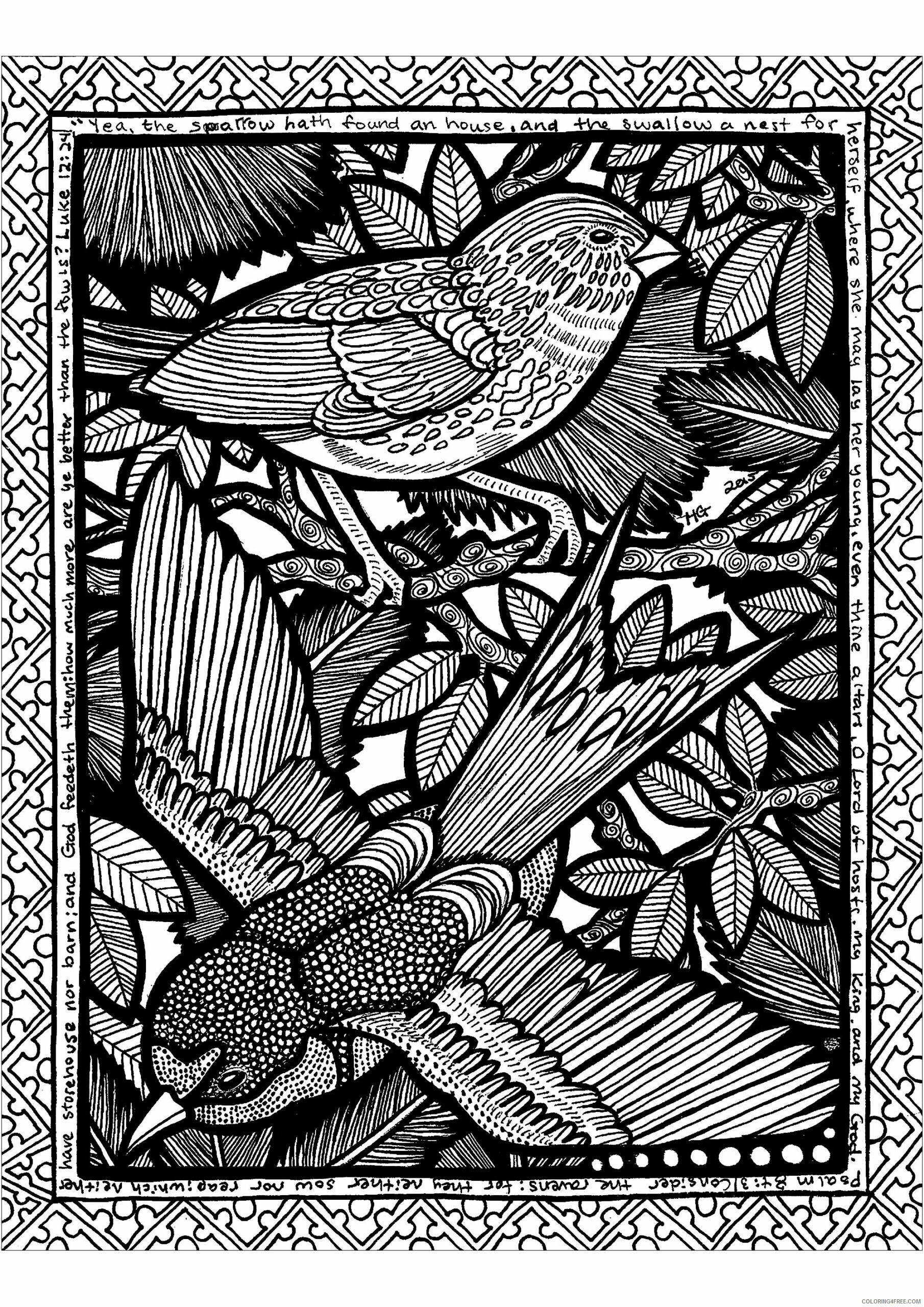 Bird Zentangle Coloring Pages lines of fowls HGCreations Printable 2020 635 Coloring4free