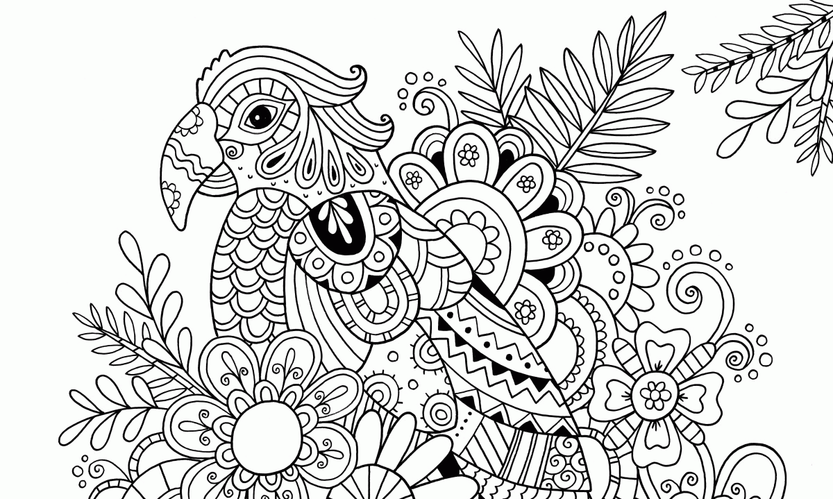 Bird Zentangle Coloring Pages parrot Printable 2020 644 Coloring4free