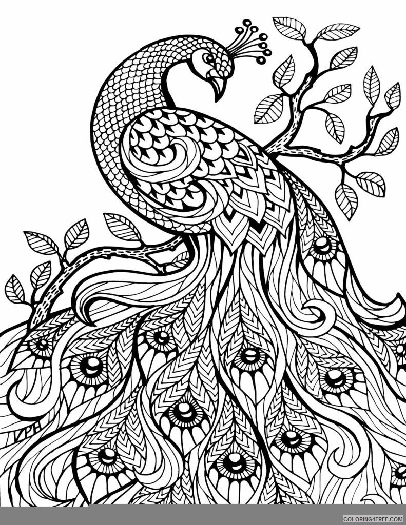 Bird Zentangle Coloring Pages peacock Printable 2020 645 Coloring4free