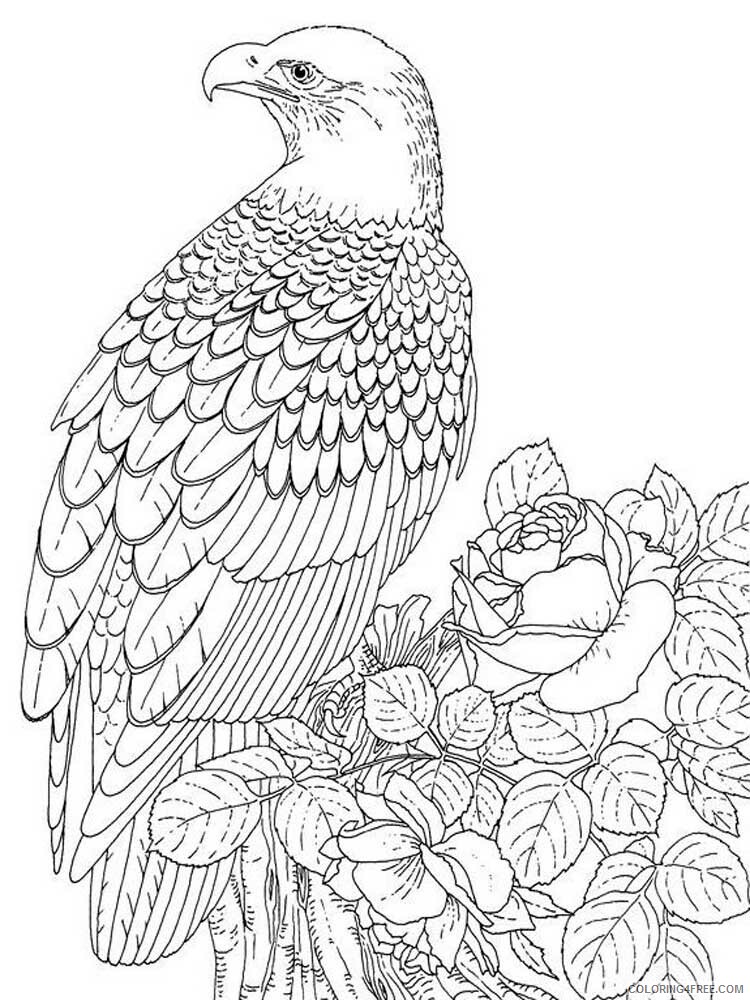 Bird Zentangle Coloring Pages zentangle birds 10 Printable 2020 648 Coloring4free