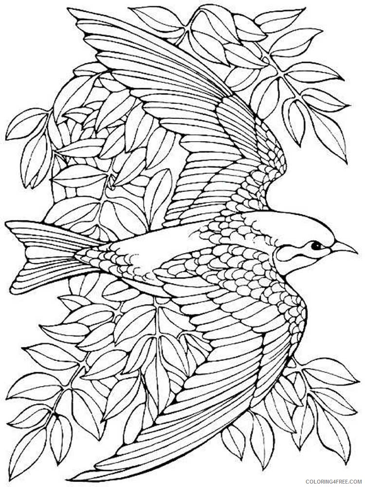 Bird Zentangle Coloring Pages zentangle birds 11 Printable 2020 649 Coloring4free