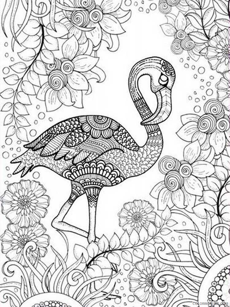 Bird Zentangle Coloring Pages zentangle birds 15 Printable 2020 651 Coloring4free