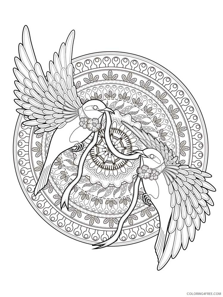 Bird Zentangle Coloring Pages zentangle birds 16 Printable 2020 652 Coloring4free