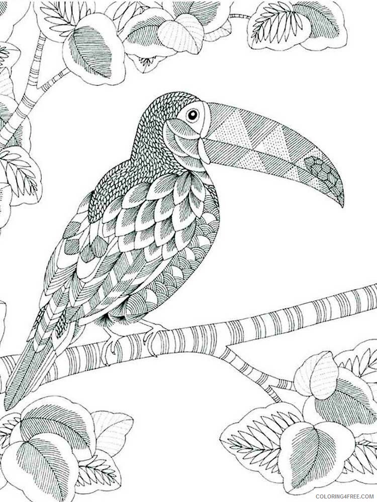 Bird Zentangle Coloring Pages zentangle birds 18 Printable 2020 653 Coloring4free