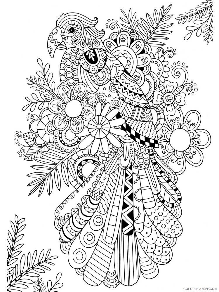 Bird Zentangle Coloring Pages zentangle birds 19 Printable 2020 654 Coloring4free