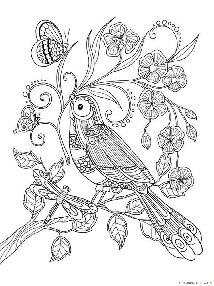 Bird Zentangle Coloring Pages zentangle birds 21 Printable 2020 655 Coloring4free