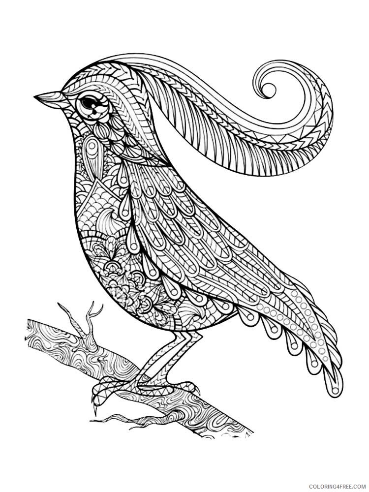 Bird Zentangle Coloring Pages zentangle birds 24 Printable 2020 658 Coloring4free