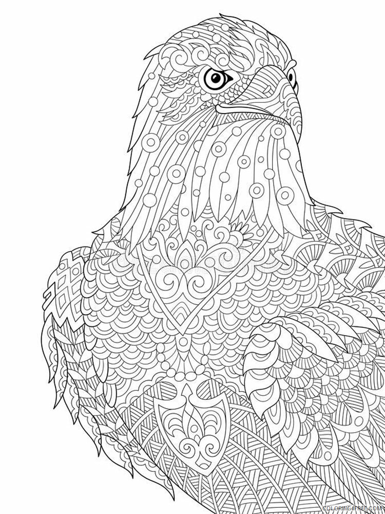 Bird Zentangle Coloring Pages zentangle birds 27 Printable 2020 660 Coloring4free