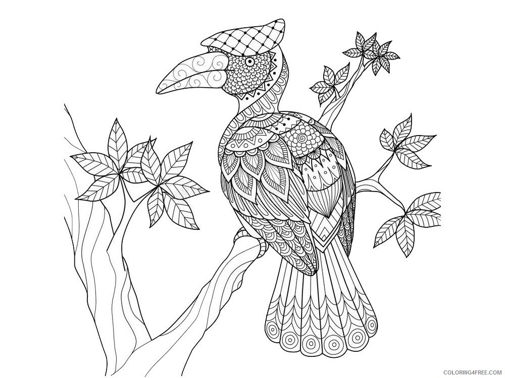 Bird Zentangle Coloring Pages zentangle birds 28 Printable 2020 661 Coloring4free