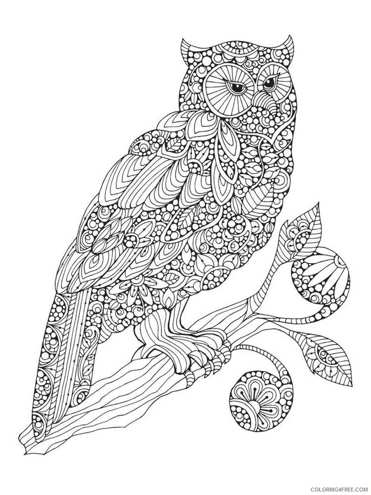 Bird Zentangle Coloring Pages zentangle birds 3 Printable 2020 663 Coloring4free