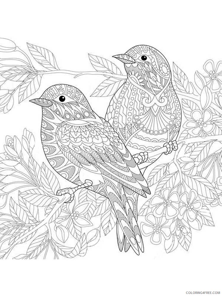 Bird Zentangle Coloring Pages zentangle birds 4 Printable 2020 664 Coloring4free