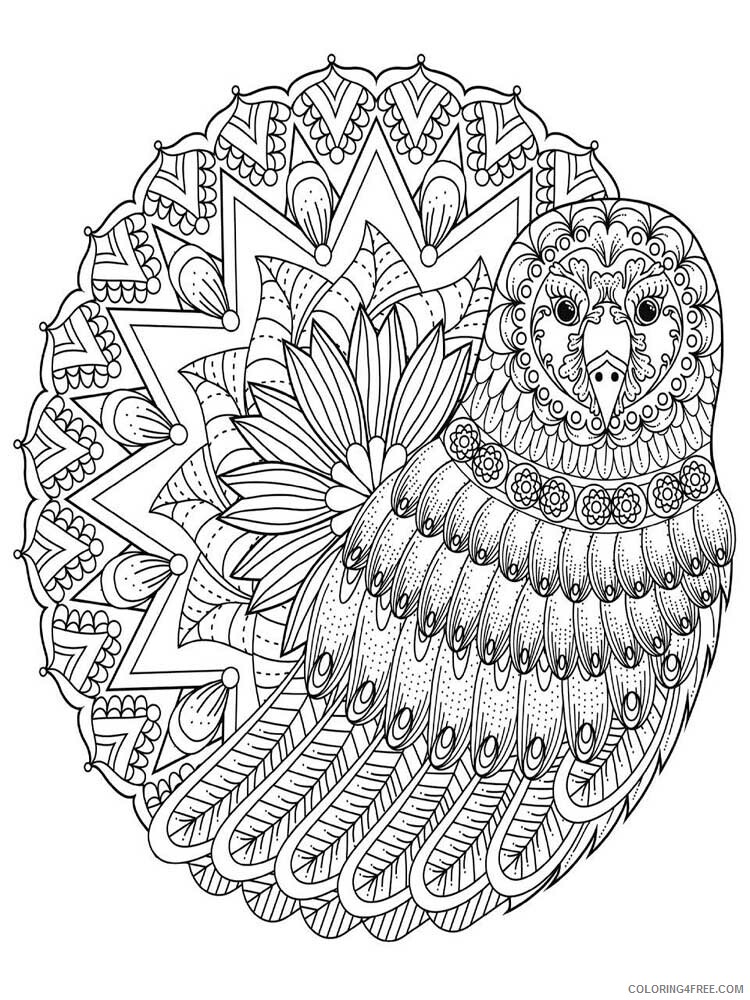 Bird Zentangle Coloring Pages zentangle birds 5 Printable 2020 665 Coloring4free