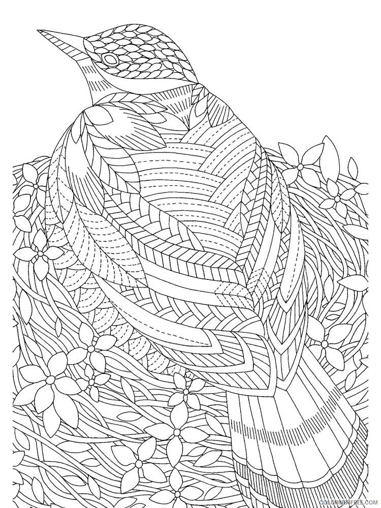 Bird Zentangle Coloring Pages zentangle birds 8 Printable 2020 667 Coloring4free