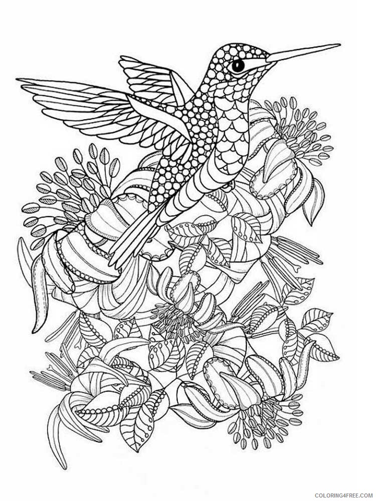 Bird Zentangle Coloring Pages zentangle birds 9 Printable 2020 668 Coloring4free