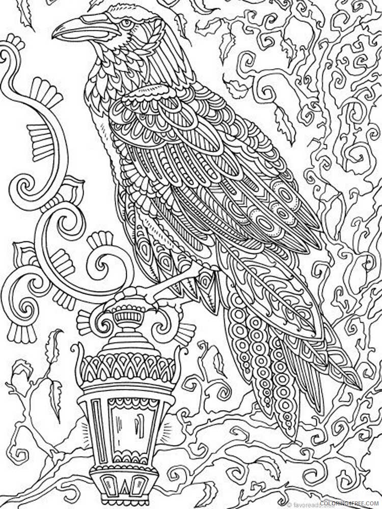 Bird Zentangle Coloring Pages zentangle crow 4 Printable 2020 671 Coloring4free