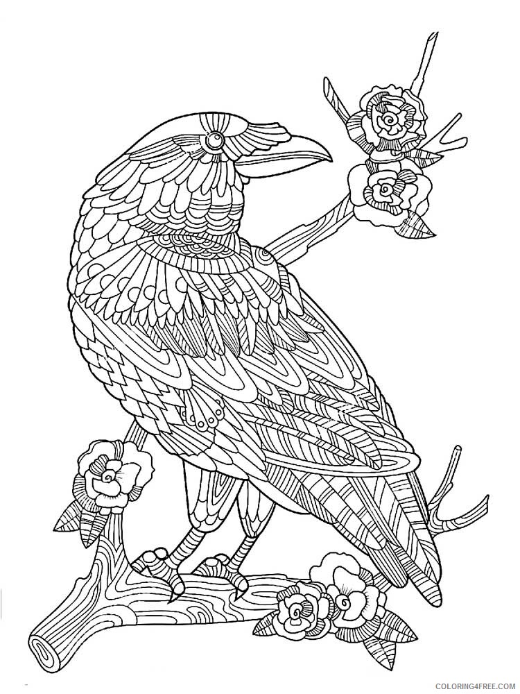 Bird Zentangle Coloring Pages zentangle crow 5 Printable 2020 672 Coloring4free
