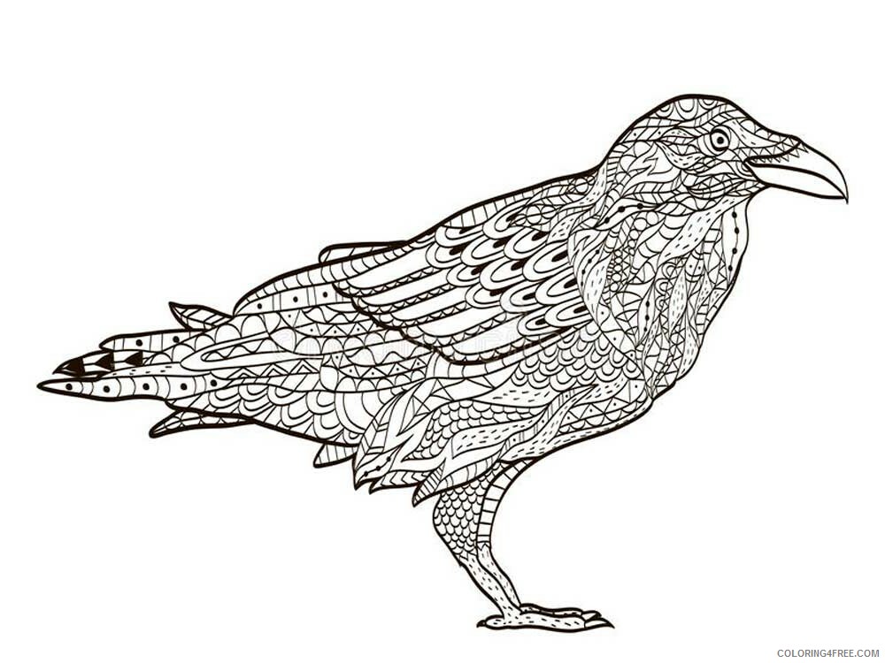 Bird Zentangle Coloring Pages zentangle crow 6 Printable 2020 673 Coloring4free