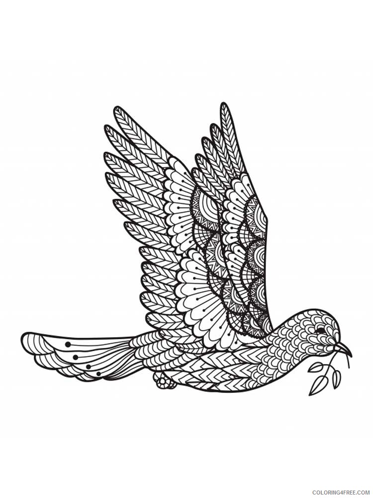 Bird Zentangle Coloring Pages zentangle dove 1 Printable 2020 674 Coloring4free