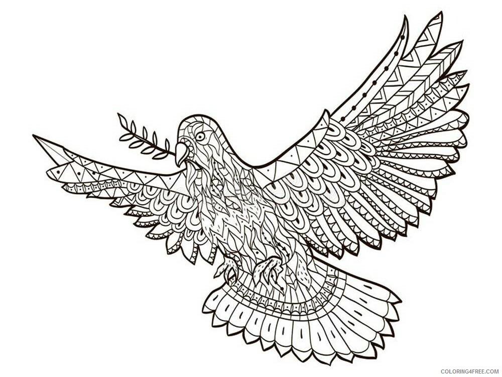 Bird Zentangle Coloring Pages zentangle dove 10 Printable 2020 675 Coloring4free