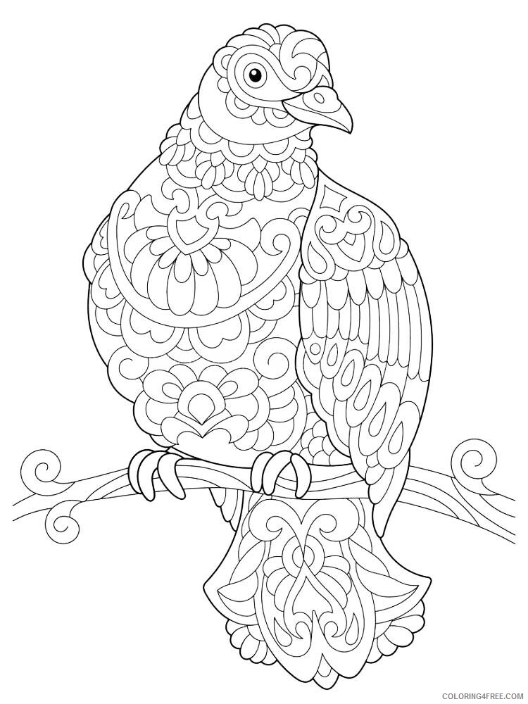 Bird Zentangle Coloring Pages zentangle dove 11 Printable 2020 676 Coloring4free