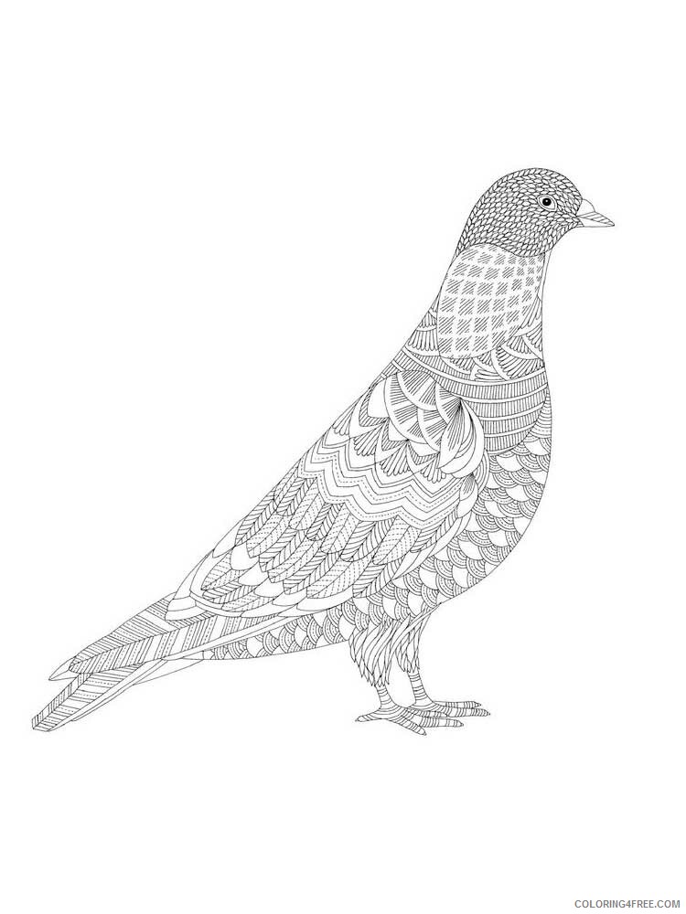 Bird Zentangle Coloring Pages zentangle dove 5 Printable 2020 680 Coloring4free