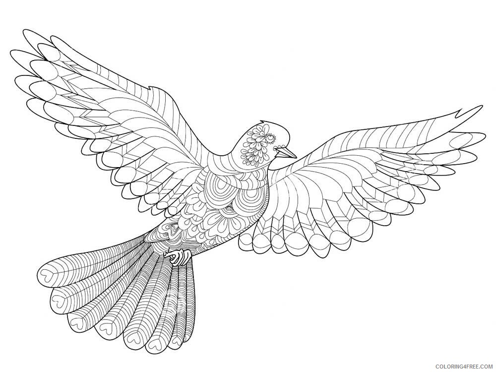 Bird Zentangle Coloring Pages zentangle dove 9 Printable 2020 683 Coloring4free