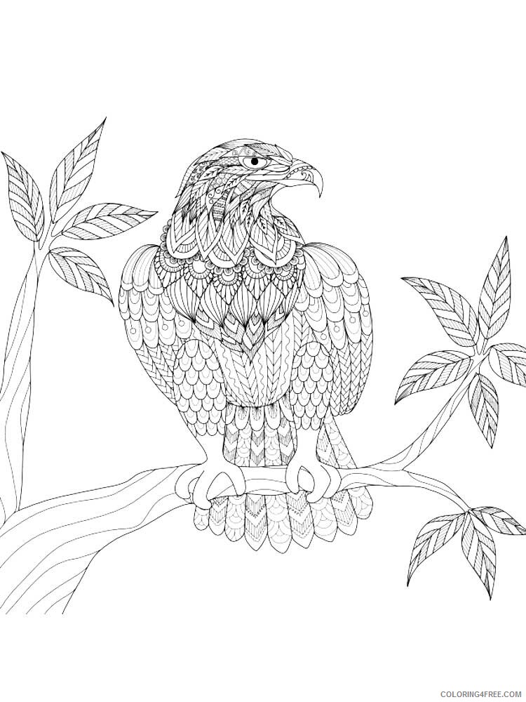 Bird Zentangle Coloring Pages zentangle eagle 1 Printable 2020 684 Coloring4free