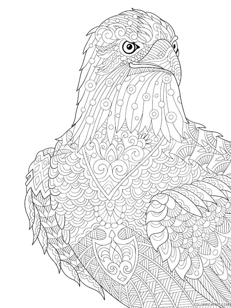 Bird Zentangle Coloring Pages zentangle eagle 6 Printable 2020 690 Coloring4free