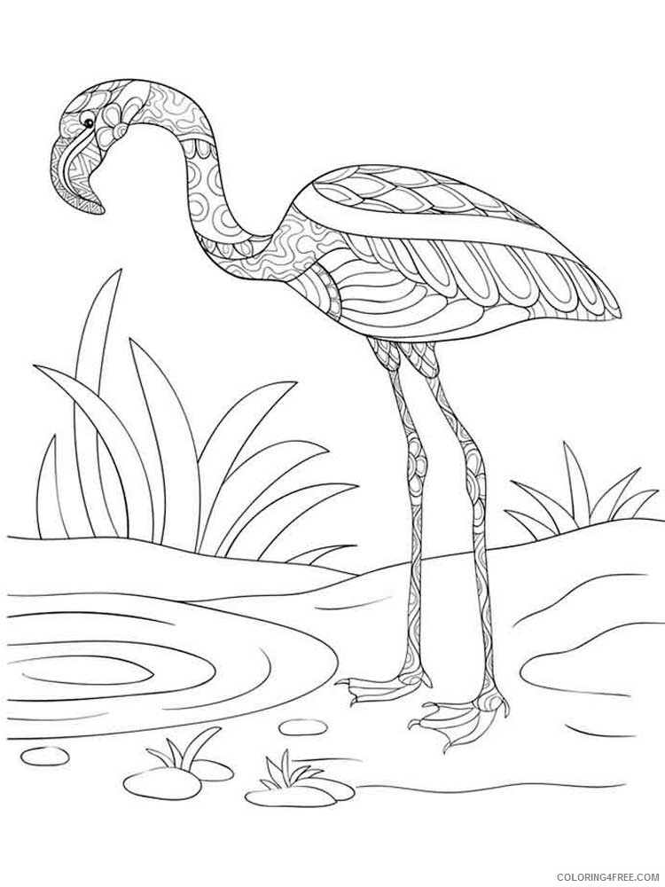 Bird Zentangle Coloring Pages zentangle flamingo 10 Printable 2020 695 Coloring4free