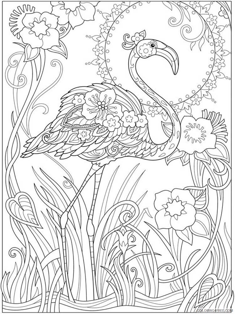 Bird Zentangle Coloring Pages zentangle flamingo 13 Printable 2020 698 Coloring4free