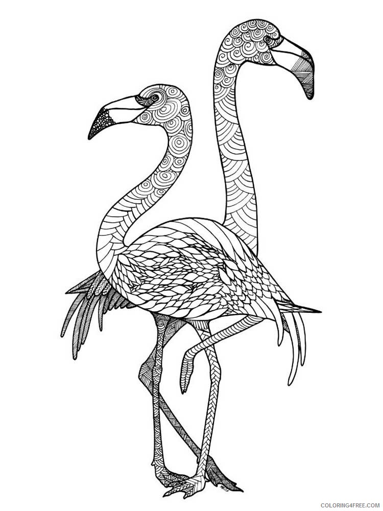 Bird Zentangle Coloring Pages zentangle flamingo 5 Printable 2020 700 Coloring4free