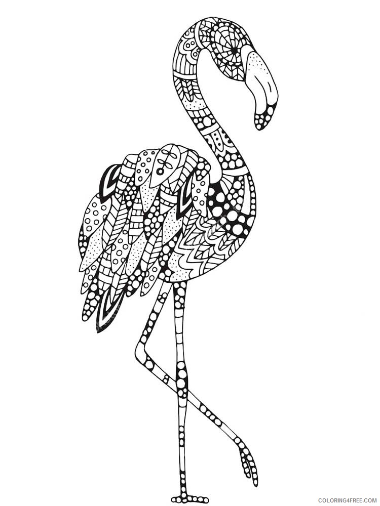 Bird Zentangle Coloring Pages zentangle flamingo 6 Printable 2020 701 Coloring4free