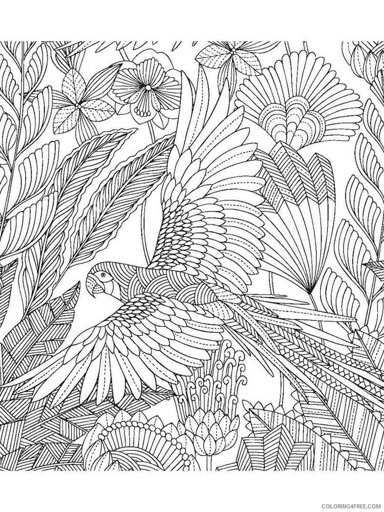 Bird Zentangle Coloring Pages zentangle parrot 10 Printable 2020 711 Coloring4free