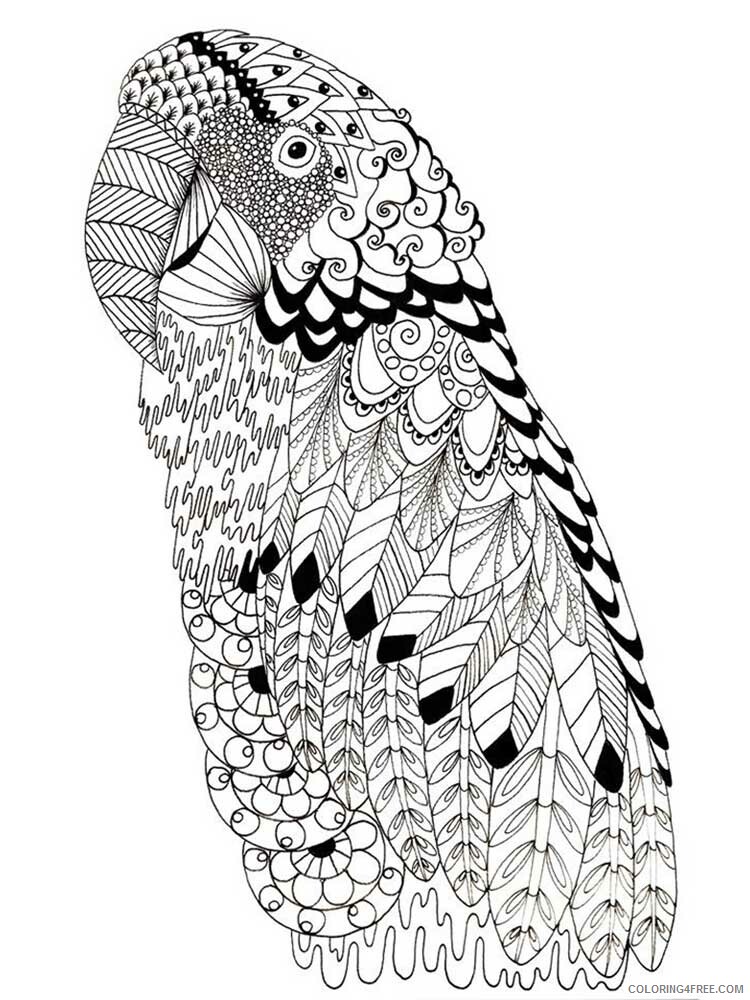 Bird Zentangle Coloring Pages zentangle parrot 12 Printable 2020 713 Coloring4free